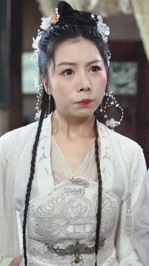 浪子钦差夺宝记（92集）一共多少集