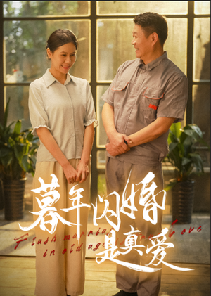 暮年闪婚是真爱（36集）免费观看完整版