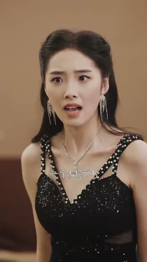 傻爹（41集）一口气看完全集