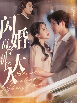 机长先生，听我指挥（92集）高清画质免费看