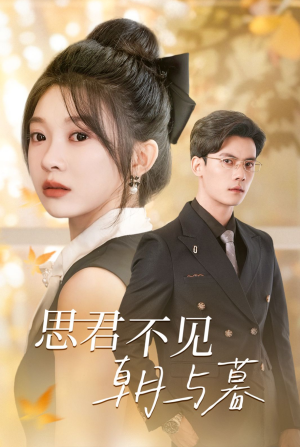 思君不见朝与暮（46集）第二季