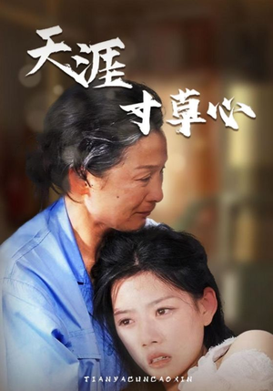 天涯寸草心（76集）爱短剧爱追剧