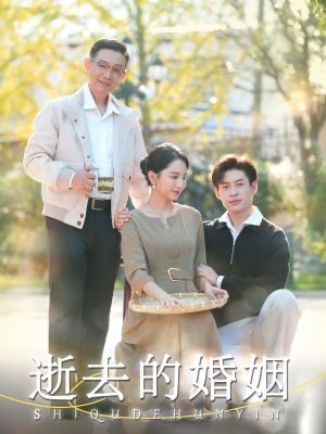 逝去的婚姻（60集）在线观看