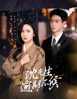 沈先生，逾期不候（75集）短剧更新抢先看
