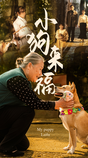 小狗来福（30集）短剧在线看