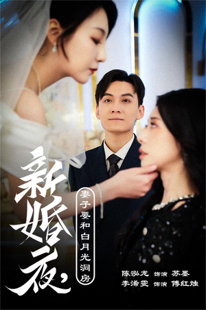 礼尚往来（30集）高清无码免费看