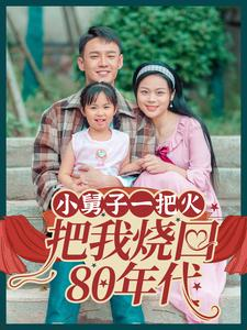 小舅子一把火把我烧回80年代（100集）在线看免费版
