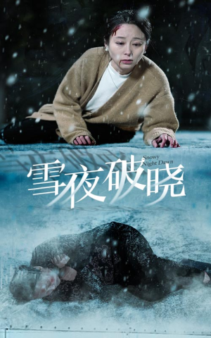 雪夜破晓（36集）短剧上头又好看