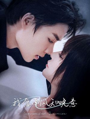 我愿南风知晚意（61集）高清画质免费看