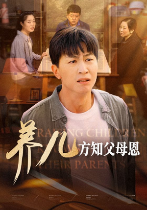 养儿方知父母恩（48集）演的怎么样