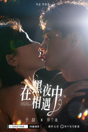 在黑夜中相遇（32集）免费短剧片段
