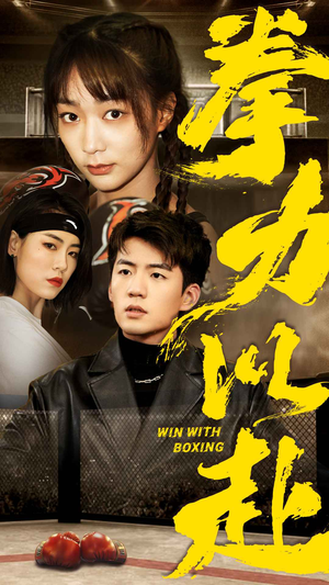 拳力以赴（80集）第32集