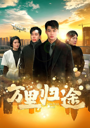 万里归途（70集）热播短剧重燃