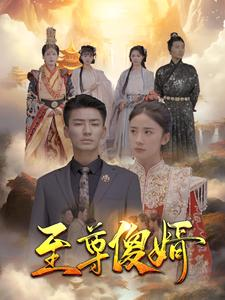 至尊傻婿（82集）古装短剧热播