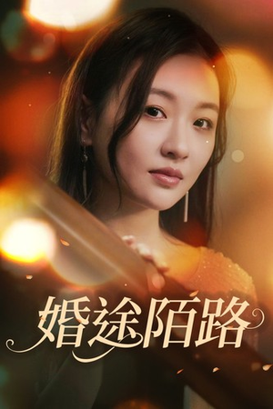 婚途陌路（15集）短剧全集大结局