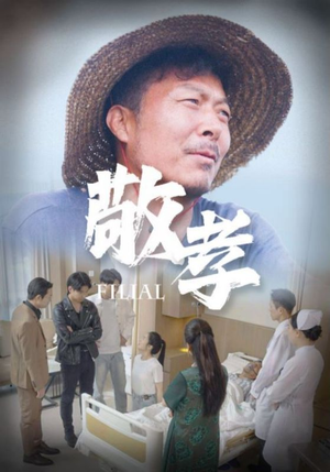 敬孝（61集）短剧小说在线看