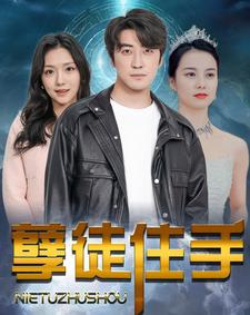 孽徒住手（87集）全剧免费观看
