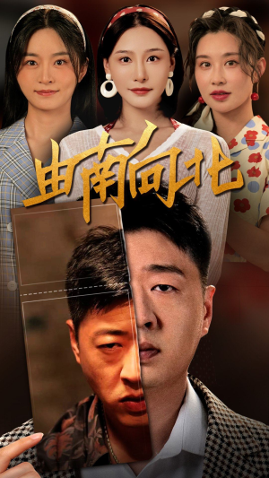 由南向北（88集）番茄免费短剧