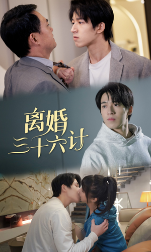 离婚三十六计（96集）短剧介绍