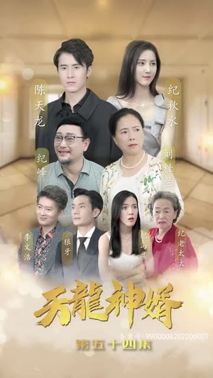天龙神婿（80集）在哪个平台能看