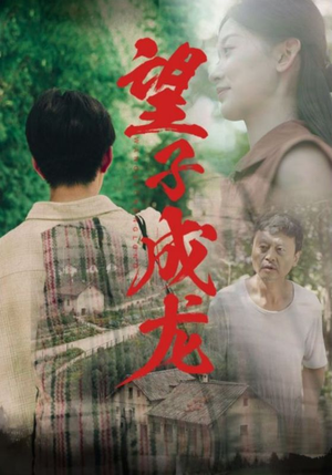 望子成龙（74集）经典回顾免费看
