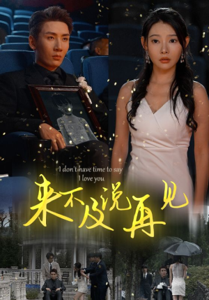 来不及说再见（30集）小短剧推荐