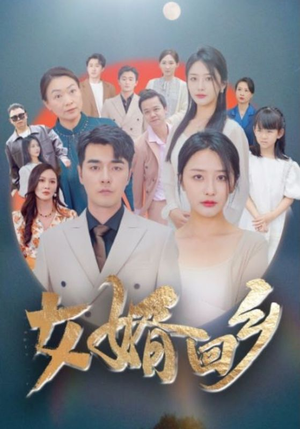 女婿回乡（120集）短剧演员排行榜
