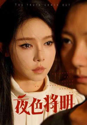 夜色将明（83集）追短剧看全集