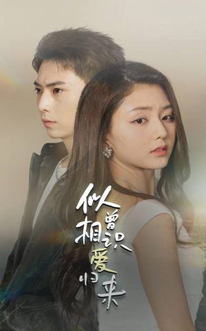 似曾相识爱归来（77集）红果短剧看全集
