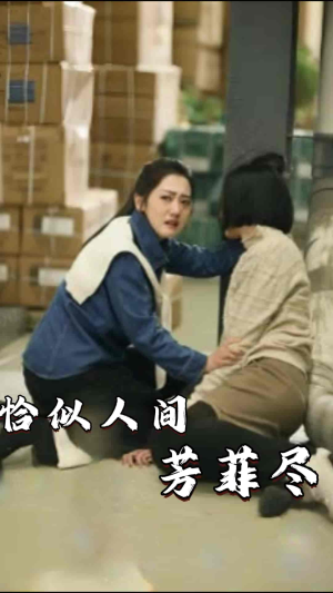 恰似人间芳菲尽（68集）短剧爆款推荐