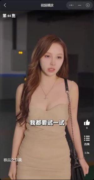 我的富豪美女总裁（我的极品女总裁）热门短剧追不停