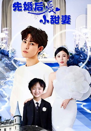 先婚后爱小甜妻（100集）在哪个平台看好