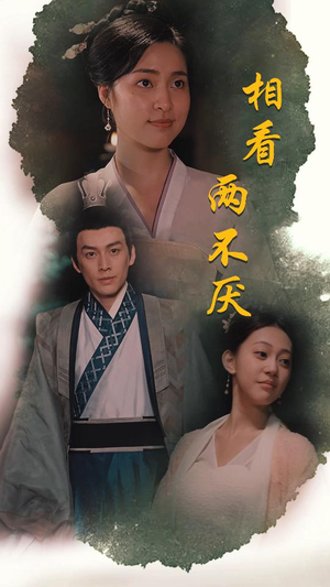 相看两不厌（85集）快来看短剧