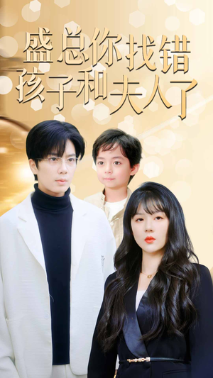 盛总你找错孩子和夫人了（82集）短剧在线看