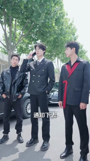 离婚后，哥哥们送我十个男模（三个哥哥送我十个男模）评价怎么样