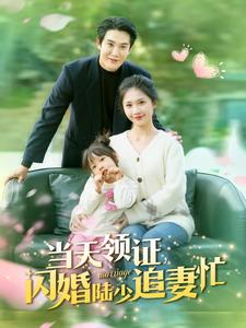 当天领证闪婚陆少追妻忙（80集）好看短剧又来了