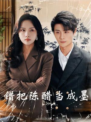 错把陈醋当成墨（29集）在线看