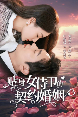 贴身女侍卫的契约婚姻（91集）剧好看短剧推荐