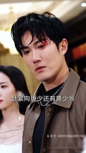 踏雪（96集）免费全集短剧
