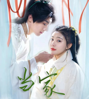 傻子王爷娇宠妃&当家（50集）短剧全集免费