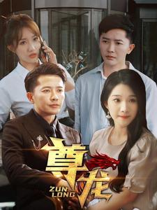 新版：尊龙（97集）在线看到大结局