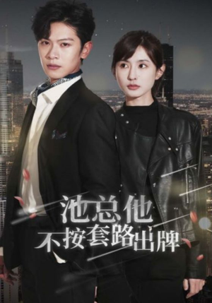 池总他不按套路出牌（100集）经典老剧免费看