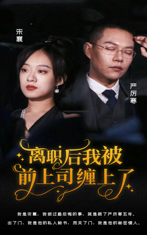 离职后，我被前上司缠上了（100集）番茄短剧看全集