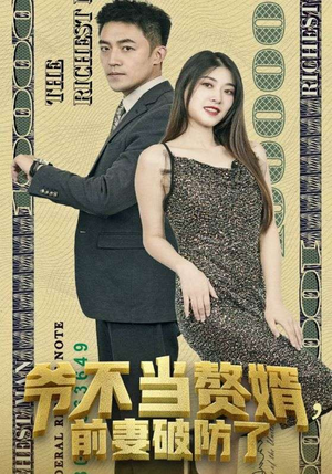 爷不当赘婿，前妻破防了（80集）看精彩短剧
