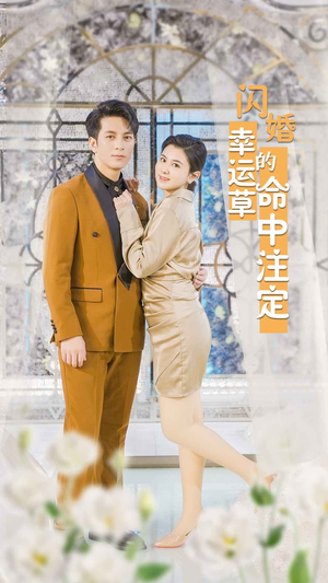 闪婚幸运草的命中注定（82集）短剧太精彩了