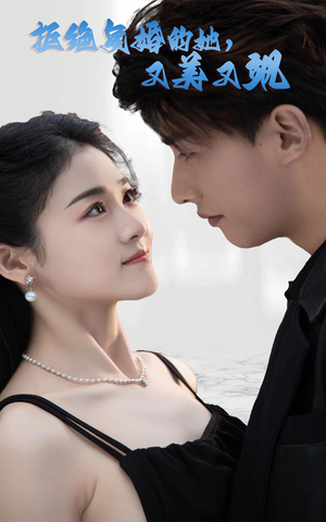 拒绝复婚的她，又美又飒（100集）流畅播放免费看