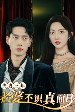 夫妻三年老婆不识真面目（83集）最新热播短剧