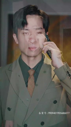 真假爱人（100集）短剧介绍