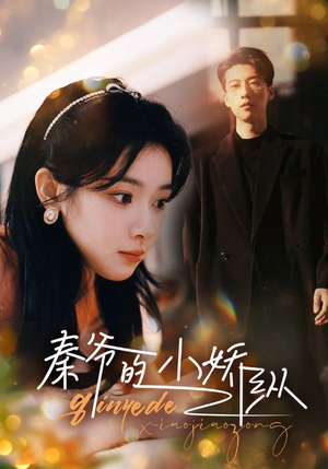 秦爷的小娇纵（96集）深深爱上这部剧