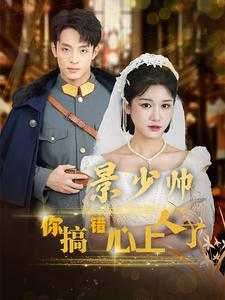 景少帅你搞错心上人了（100集）高清画质免费看